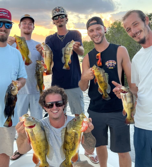 Peacock Bass Fishing in Miami